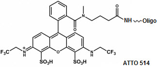 Bio-Synthesis Inc. Oligo Structure